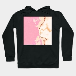 pink and gold abstract digital painting Hoodie